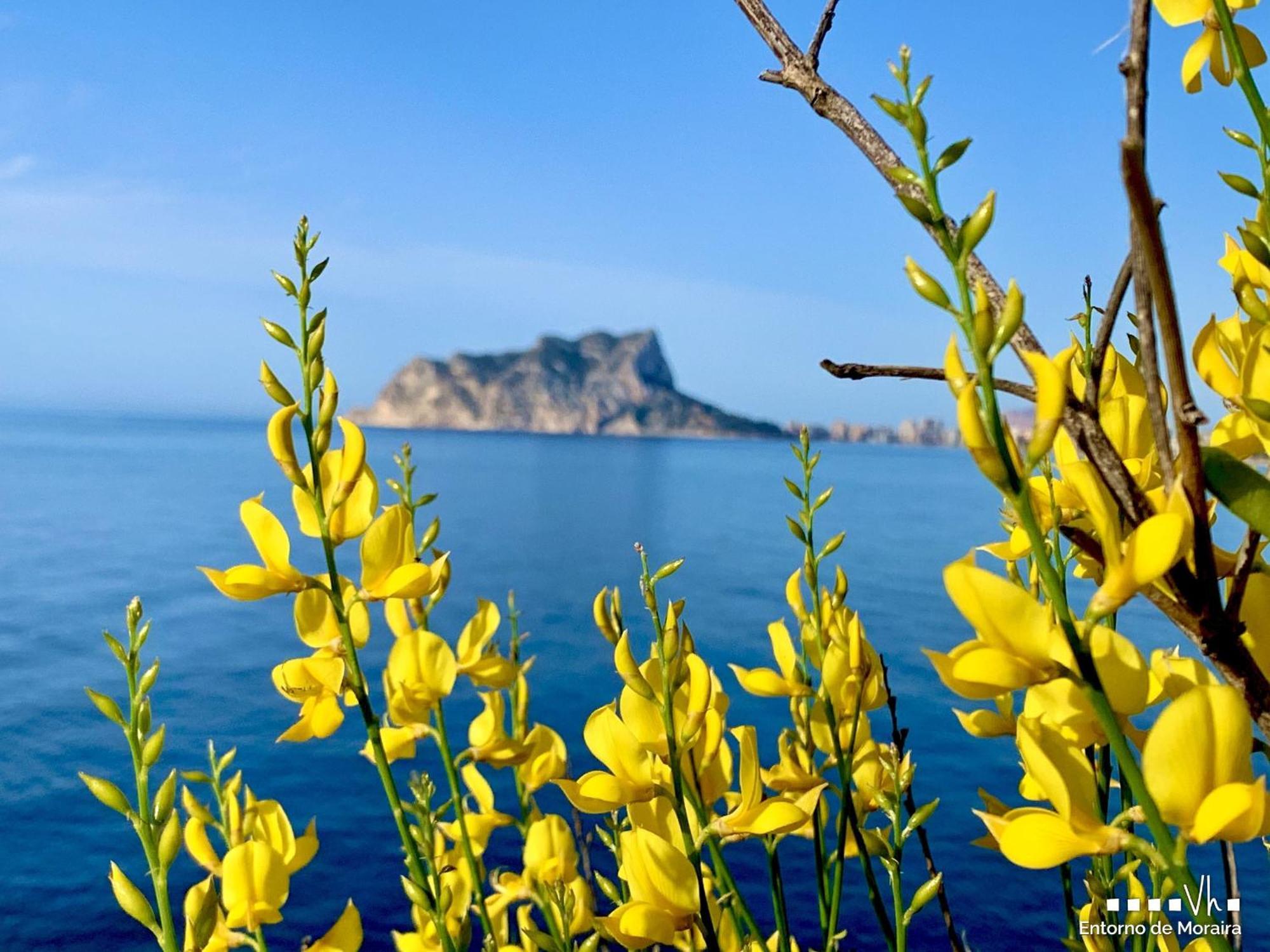 Вілла Vh Costablanca - Carmen Морайра Екстер'єр фото